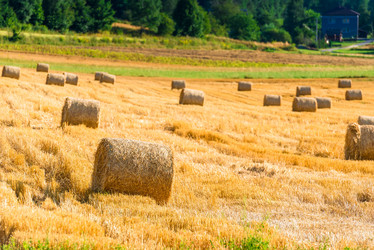 Similar image 20472660