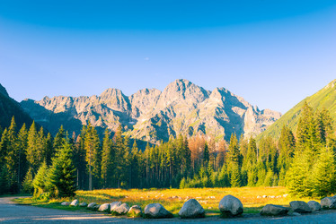 Similar image 20472662