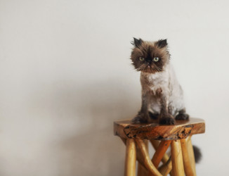 Similar image 20472724