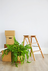 Similar image 20472754