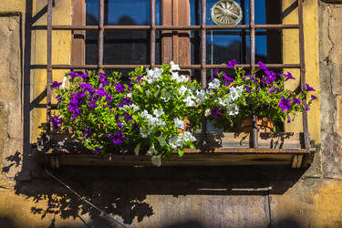 Similar image 20520991