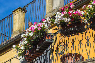 Similar image 20520993