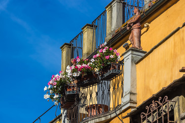 Similar image 20520996