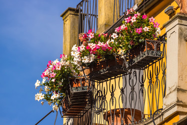 Similar image 20520997