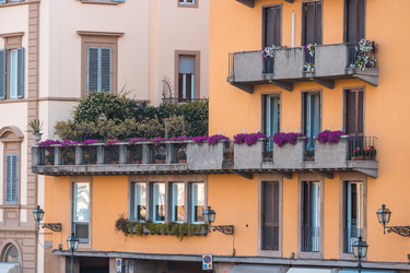 Similar image 20520998