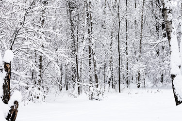 Similar image 20521283