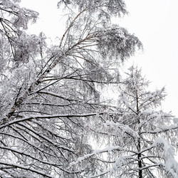 Similar image 20521285