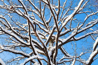 Similar image 20521286