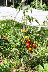 Similar image 20521301