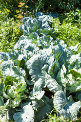 Similar image 20521303