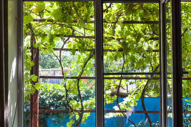 Similar image 20521306