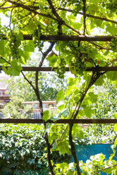 Similar image 20521316