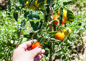 Similar image 20521324