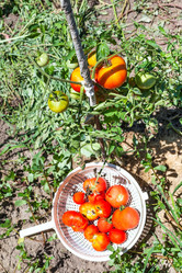 Similar image 20521326