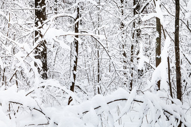 Similar image 20521328