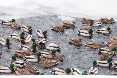 Similar image 20521330