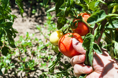 Similar image 20521342