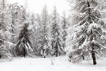 Similar image 20521346