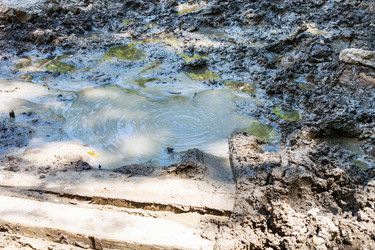 Similar image 20521354