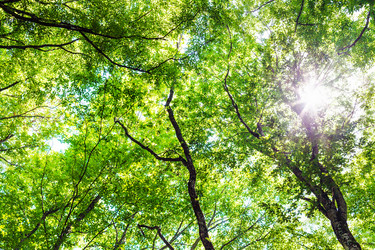 Similar image 20521358