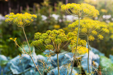 Similar image 20521369