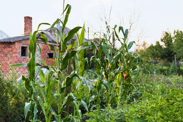 Similar image 20521370