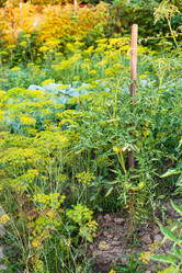 Similar image 20521371