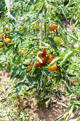 Similar image 20521375