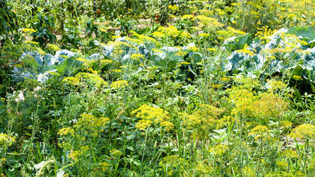 Similar image 20521376