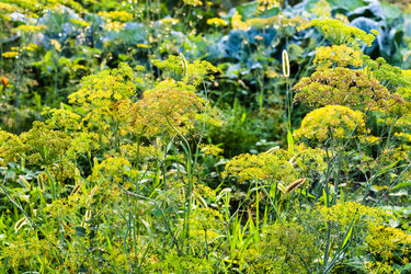 Similar image 20521378