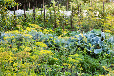 Similar image 20521379