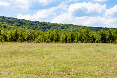 Similar image 20521389