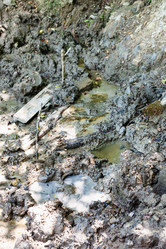 Similar image 20521410