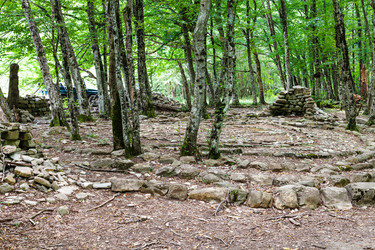 Similar image 20521412