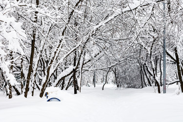 Similar image 20521425