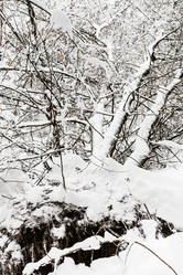 Similar image 20521428