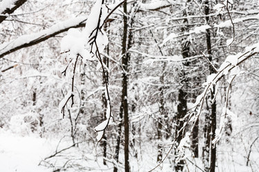 Similar image 20521432