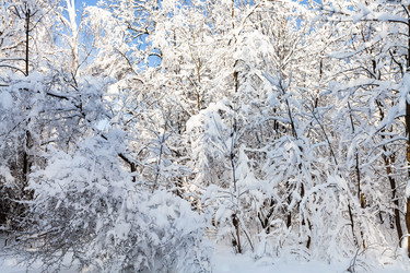 Similar image 20521434