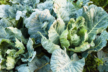 Similar image 20521504