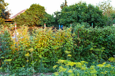 Similar image 20521511