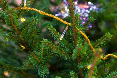 Similar image 20521516