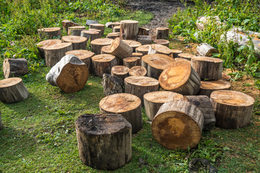 Similar image 20521073