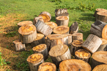 Similar image 20521075