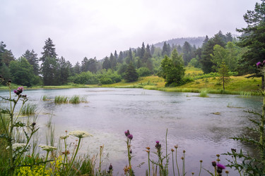 Similar image 20521078