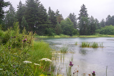 Similar image 20521079