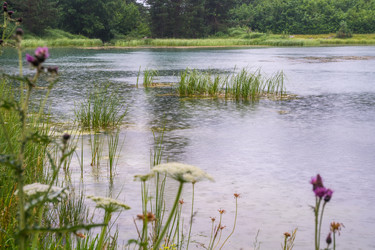 Similar image 20521080