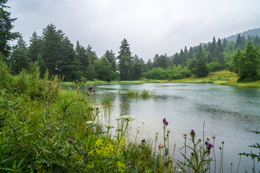 Similar image 20521082