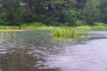 Similar image 20521084