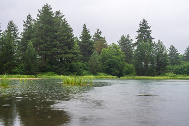 Similar image 20521086