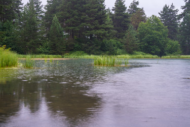 Similar image 20521087